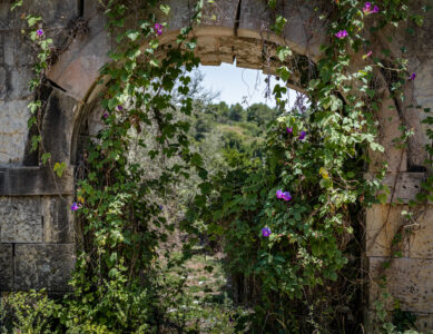 28 luglio | Storie nel bosco da leggere e ascoltare