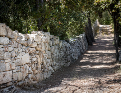 26 e 27 luglio | Trekking urbano naturalistico